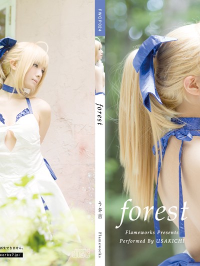 Cover forest
